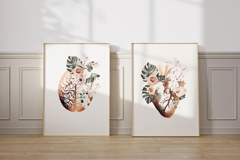 Heart and Brain Anatomy Art Print Set for Medical Clinics and Doctor ...