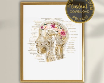 Sagittal Section of the Head Print, SLP Decor, Speech Therapy Wall Art, Speech Pathology Poster, Anatomy Head Art, Printable Download