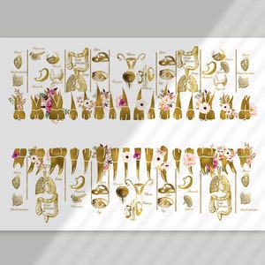 May include: A gold anatomical chart with illustrations of human organs and teeth. Each organ is surrounded by pink and white floral designs. The chart is on a white background.