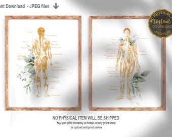 Op de afbeelding: Twee afdrukbare anatomiekaarten met een gedetailleerde illustratie van het menselijk spierstelsel in goud en wit, met botanische elementen in groen en wit. De kaarten zijn ingelijst in een licht houten lijst.
