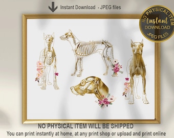 Dog Anatomy Art Print, Veterinarian Office Decor, Canine Anatomy Wall Art, Vet Clinic Printable, Veterinary Anatomy Poster