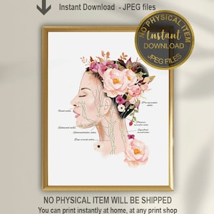Lymfatisch systeem Anatomie Print, Gezicht Lymfatisch Systeem Art, Esthetische Decor, Esthetische Kunst, Lymfatische Massage, Lymfeklieren, Lymfoloog