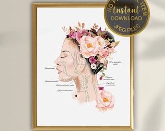Impresión artística de la anatomía del sistema linfático facial, diagrama de drenaje linfático facial, arte mural para esteticistas, decoración de masajistas, imprimible