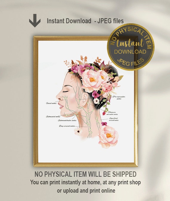 Face Lymphatic System Anatomy Art Print, Facial Lymphatic Drainage Chart, Esthetician Wall Art, Massage Therapist Decor, Printable