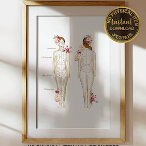 May include: A printable chart showing the location of acupuncture points on the human body. The chart is illustrated with a female figure with floral accents. The text "No Physical Item Will Be Shipped" is at the bottom of the chart. The text "Instant Download - JPEG files" is at the top of the chart.