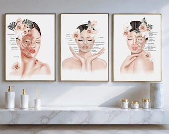 Juego de 3 láminas decorativas para esteticistas, arte mural de anatomía facial, arte de anatomía del rostro, decoración para spa médico, decoración mural para consultorio de inyecciones, póster de Botox
