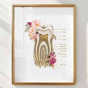 May include: A digital download print in a gold frame featuring an anatomical cross-section of a tooth decorated with pink and purple floral arrangements. The diagram includes labels for enamel, dentin, pulp, gum, root canal, cementum, periodontal ligament, blood vessels, nerves, and jaw bone.