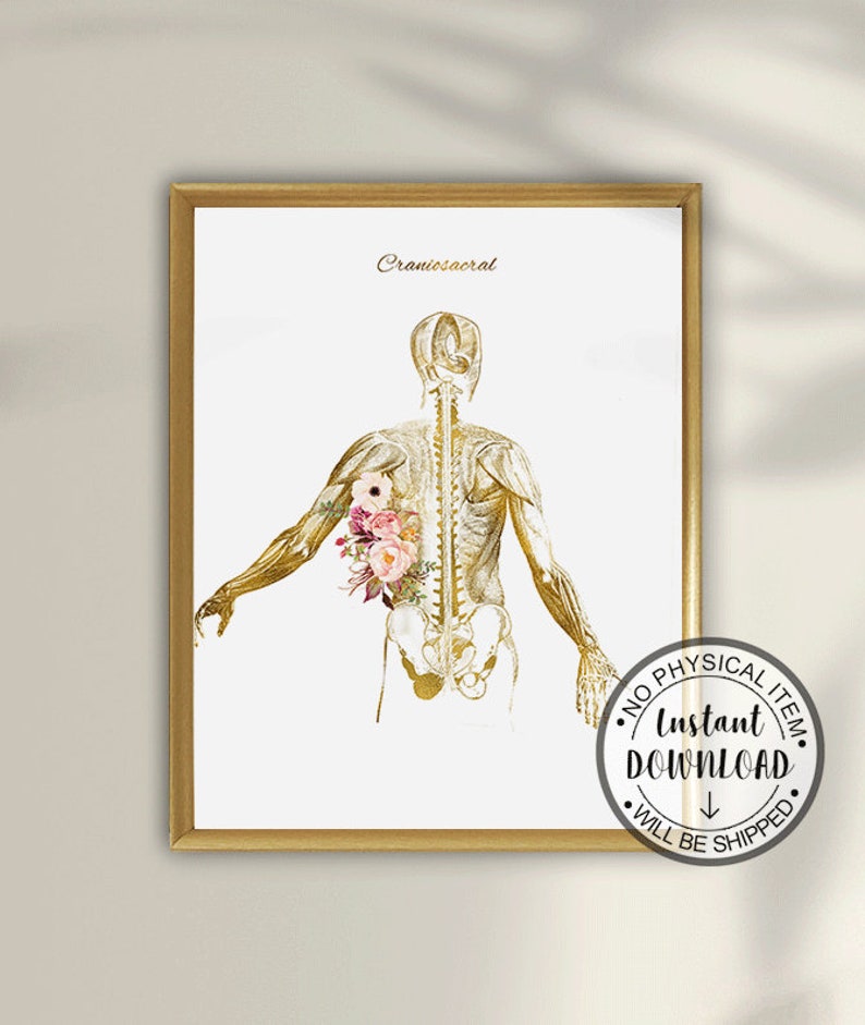 Osteopathy Massage Therapy Poster Osteopathic Physician Manual Osteopath Office Craniosacral Therapy Print CST Alternative Therapy Art,