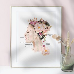 May include: A watercolor illustration of a woman's face and neck with a floral crown. The illustration shows the location of the lymph nodes in the head and neck. The text labels the nodes: Facial nodes, Submental nodes, Submandibular nodes, Deep cervical nodes, Pre-auricular nodes, Posterior auricular nodes, and Superficial cervical nodes.