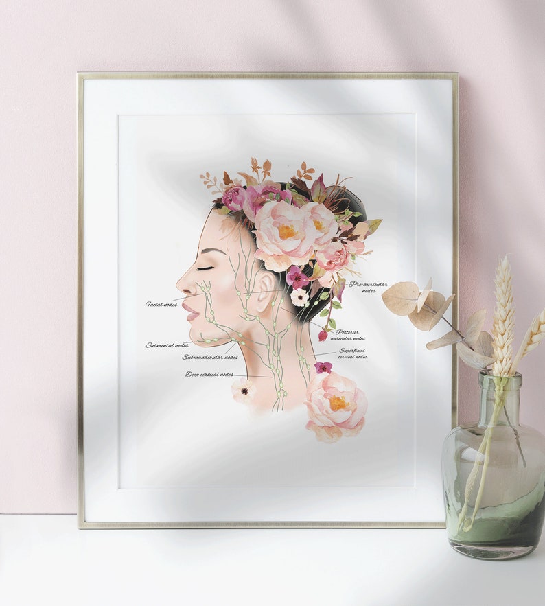 May include: A watercolor illustration of a woman's face and neck with a floral crown. The illustration shows the location of the lymph nodes in the head and neck. The text labels the nodes: Facial nodes, Submental nodes, Submandibular nodes, Deep cervical nodes, Pre-auricular nodes, Posterior auricular nodes, and Superficial cervical nodes.
