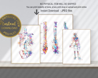 Láminas de anatomía, arte mural de anatomía humana, decoración para consultorios médicos, regalo para médicos, pósteres coloridos de anatomía, arte imprimible