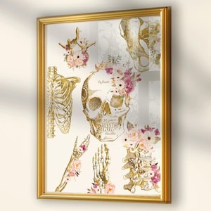 Muurkunst skelet poster menselijke anatomie grafiek – Medisch decor voor kantoor fysiotherapeut en dokter cadeau