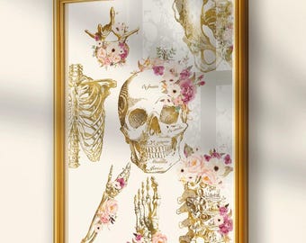 Skeletal System Wall Art Human Anatomy Chart Poster – Medical Decor for Physical  Massage Therapist Office & Doctor Gift