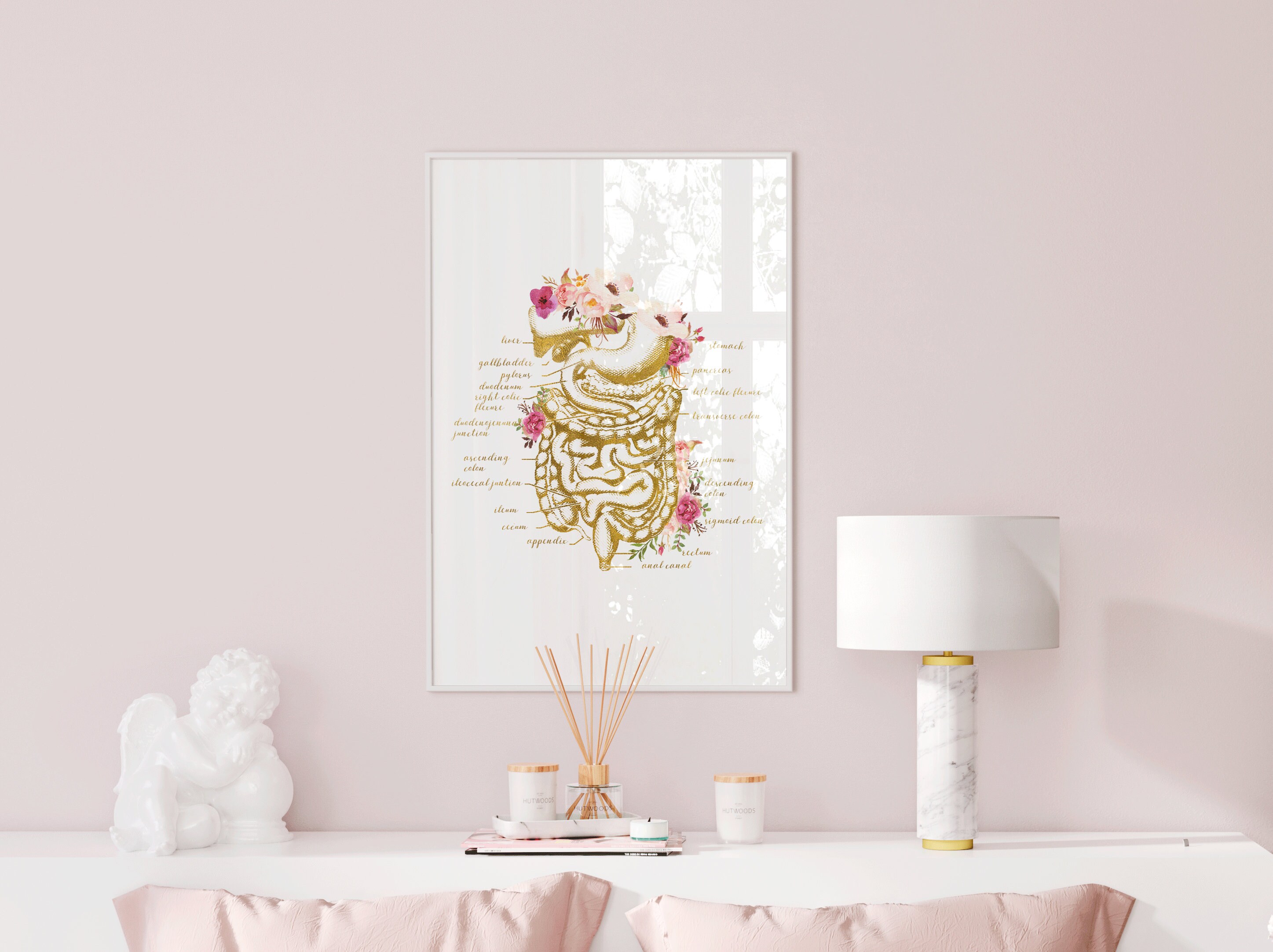 Digestive System Anatomy Print, Anatomical Poster, Digestive Tract ...