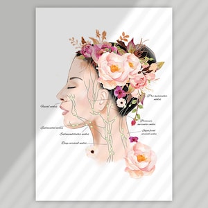 May include: A watercolor illustration of a woman's face and neck with a floral crown. The illustration shows the location of the facial, submental, submandibular, and deep cervical nodes. The text "Pre-auricular nodes", "Posterior auricular nodes", "Superficial cervical nodes", "Facial nodes", "Submental nodes", "Submandibular nodes", and "Deep cervical nodes" is included in the image.