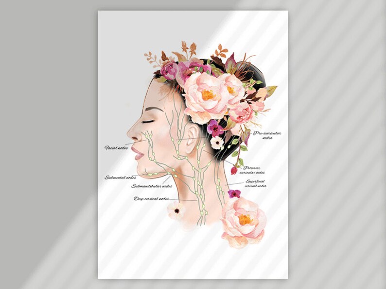 May include: A watercolor illustration of a woman's face and neck with a floral crown. The illustration shows the location of the facial, submental, submandibular, and deep cervical nodes. The text "Pre-auricular nodes", "Posterior auricular nodes", "Superficial cervical nodes", "Facial nodes", "Submental nodes", "Submandibular nodes", and "Deep cervical nodes" is included in the image.