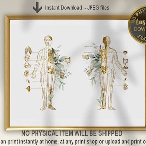 Acupuncturist cadeau, meridianen print, Chinese geneeskunde kunst aan de muur, decor acupunctuurpunten, afdrukbare acupunctuur grafiek poster