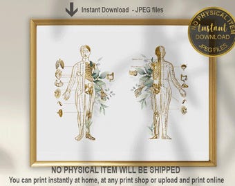 Acupuncture Meridians Wall Art | Traditional Chinese Medicine Poster | Acupuncturist Office Decor | Printable TCM Art