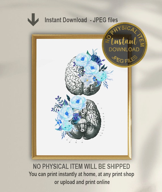Floral Brain Anatomy Art Print, Medical Anatomy Poster for Doctor Office, Neurology Wall Art, Printable Anatomy Decor