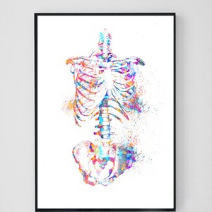 Anatomy Print Set, Medical Art Print, Anatomy Art Print, Printable Art, Doctor Gift, Art Print Set, Doctor Office Wall Decor Printable image 4