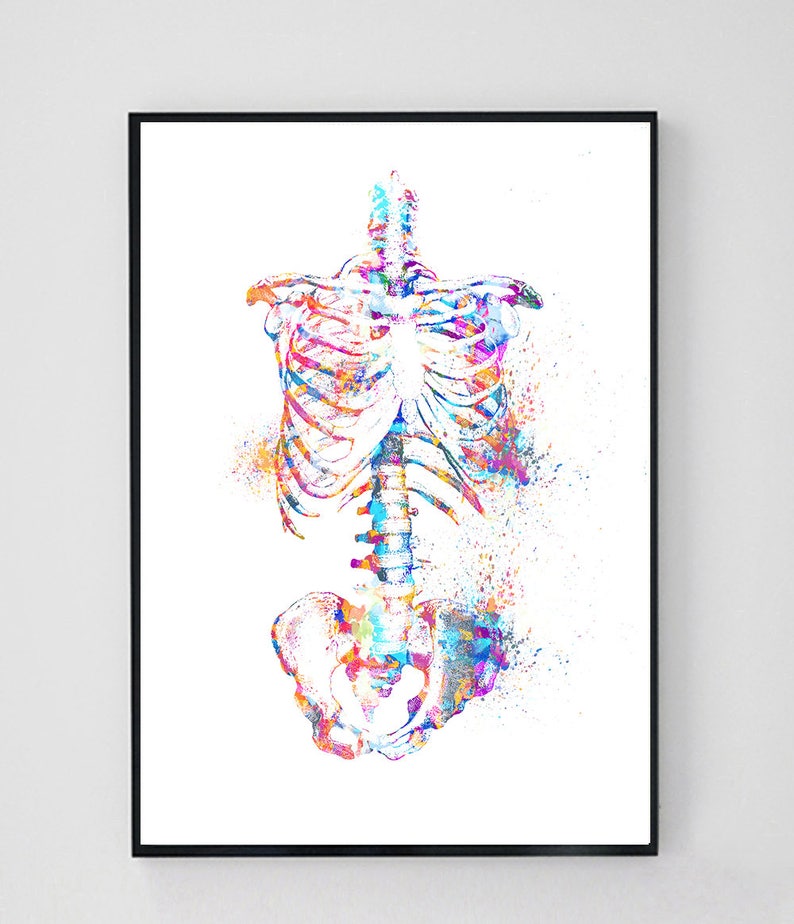 Anatomy Print Set, Medical Art Print, Anatomy Art Print, Printable Art, Doctor Gift, Art Print Set, Doctor Office Wall Decor Printable image 4