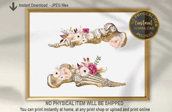 Podiatrist Gift, Feet Anatomy, Feet Art, Chiropractor Office Decor, Orthopedic Gift, Massage Therapy, Podiatry Print, Podiatry Gift