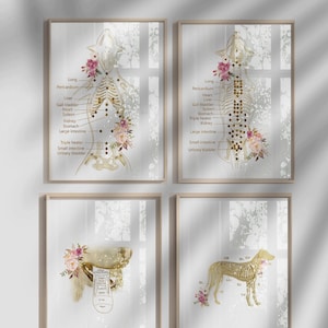 Veterinary Acupuncture Dog Anatomy Art Print Set, Vet Clinic Decor, Canine Meridian Chart, Animal Chiropractor Wall Art, Digital Download