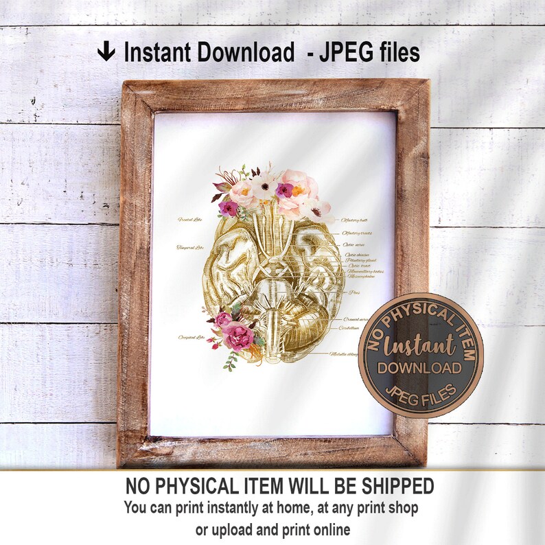 Floral Brain Anatomy Art Print, Medical Brain Wall Art, Neurologist ...