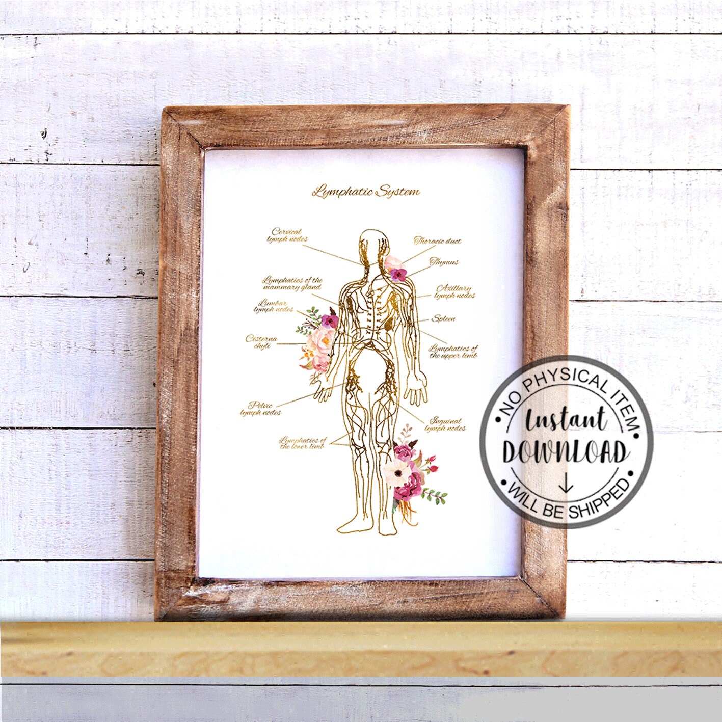 Lymphatic System Print, Endocrinology Print, Lymph Nodes Anatomy Art ...