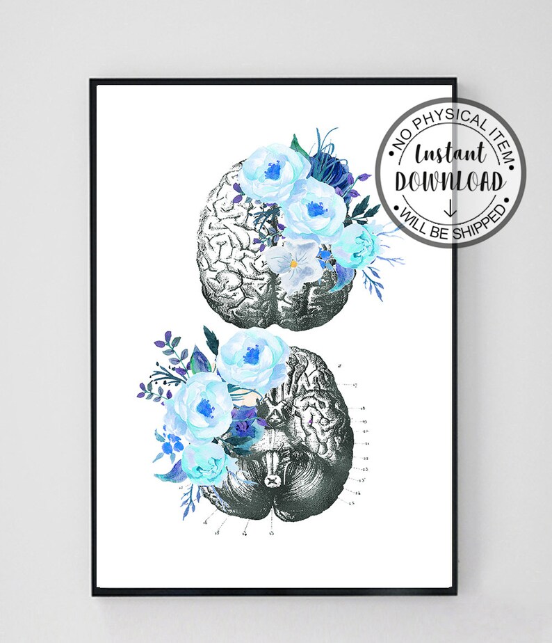 May include: A printable digital download of a vintage anatomical illustration of the human brain with blue watercolour flowers. The text "No Physical Item. Instant Download. Will Be Shipped" is in a circle on the right side of the image.