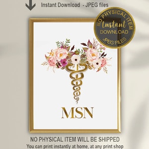 MSN Master of Science in Nursing School Grad, Masters in Nursing Gift, Nursing Graduate Gift Idea, Nurse Graduation Gift Idea, MSN Gift