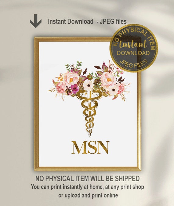 MSN Master of Science in Nursing School Grad, Masters in Nursing Gift,  Nursing Graduate Gift Idea, Nurse Graduation Gift Idea, MSN Gift