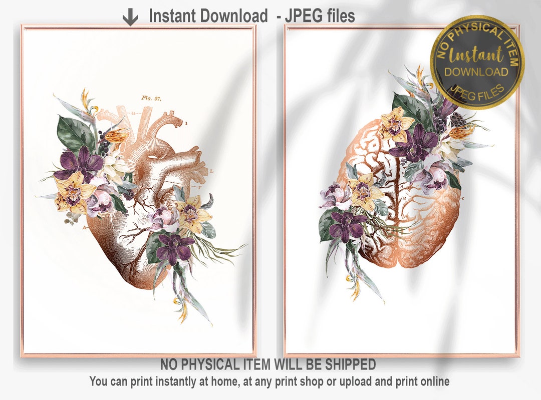 Floral Anatomy Art Set, Heart and Brain Art, Anatomy Artwork, Medical