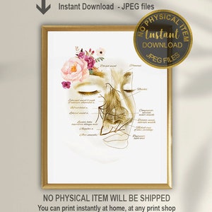 Neus anatomie kunst, spieren en slagaders, neuscorrectie print, neuscorrectie specialist, plastisch chirurg, gezichts plastische chirurgie, Botox print ENT art