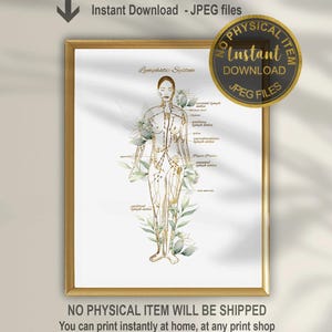 Lymphatic System Art, Endocrinology Decor, Lymph nodes Anatomy Art, Doctor Gift, Endocrionologist Gift, Massage Therapy Art, Printable Art