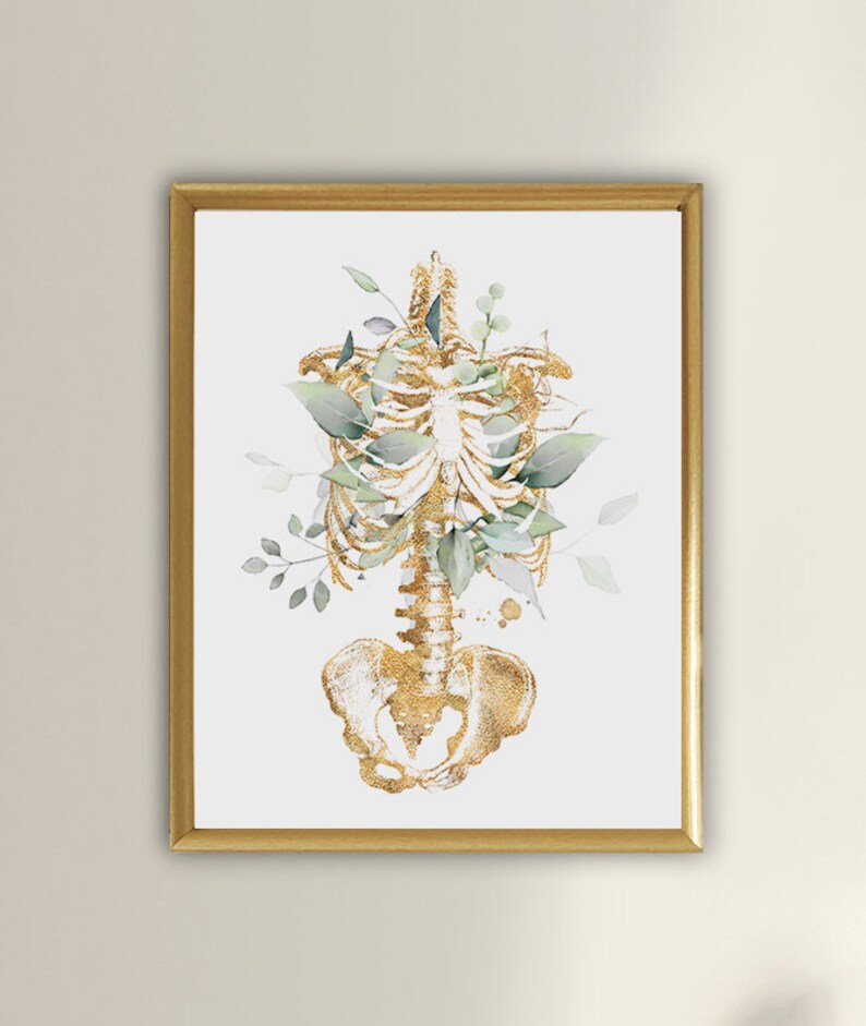 Printable Anatomy Art Doctor Office Decor Heart Brain - Etsy