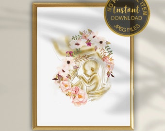 Lámina de anatomía del bebé en el útero: arte mural ginecológico floral, ilustración de anatomía fetal, decoración para clínica de ginecología (descarga digital)