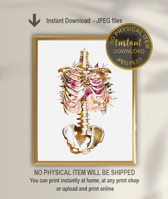 Anatomy Art Print, Rib Cage Anatomy Print, Skeleton Art, Orthopedic Doctor Office Decor, Doctor Gift, Medicine School Graduation Gift