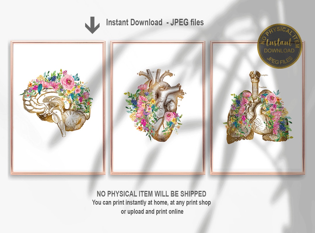 Printable Floral Anatomy Art Set – Brain Heart Lungs Wall Art, Doctor ...