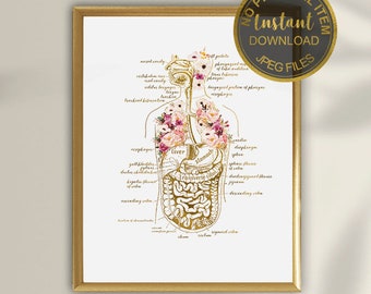 Anatomie van het menselijk lichaam Art Print, poster menselijke organen, medische muurkunst, decor dokterspraktijk, afdrukbare anatomiegrafiek