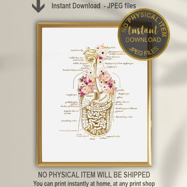 Human Body Anatomy Art, Human Organs Poster, Medical Chart, Doctor Office Decor, Doctor Graduation Gift, Medical Print, Medical Wall Art