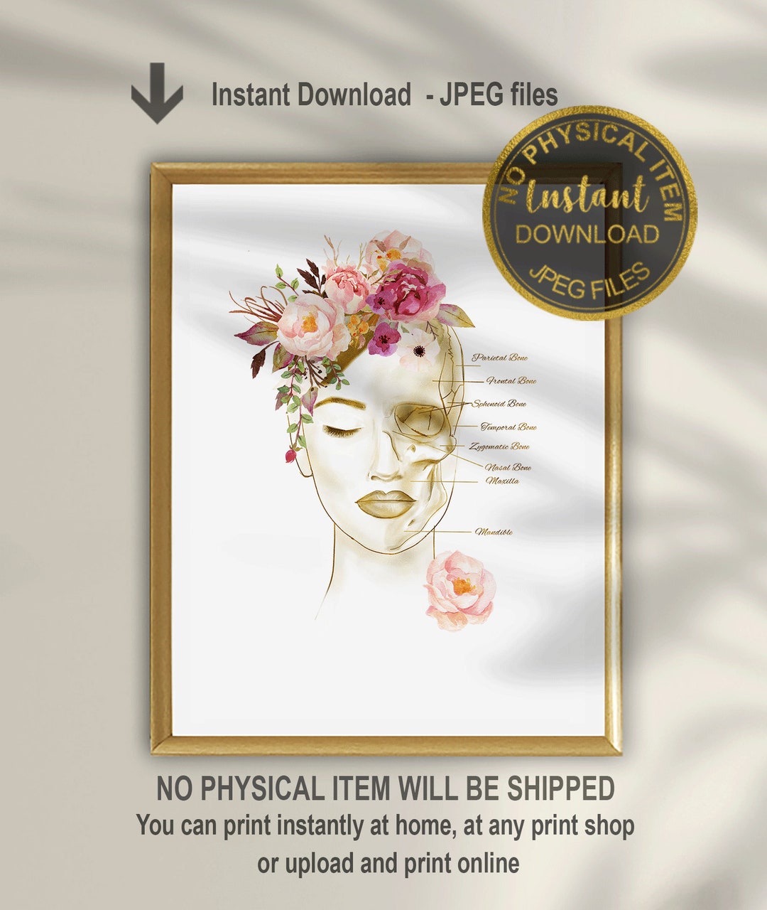 Facial Bones Art Print Printable, Skull Anatomy Art, Plastic Surgeon ...