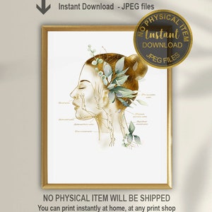 Può includere: Un'illustrazione stampabile di un viso e un collo di donna con un design floreale dorato e verde. L'illustrazione include etichette per i nervi del viso e del collo. Il testo "Download immediato - File JPEG" è in alto nell'immagine. Il testo "NESSUN ARTICOLO FISICO SARÀ SPEDITO" è in basso nell'immagine. Il testo "Puoi stampare immediatamente a casa, in qualsiasi negozio di stampa o caricare e stampare online" è sotto il testo "NESSUN ARTICOLO FISICO SARÀ SPEDITO".