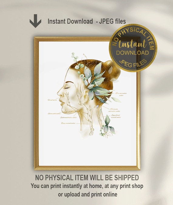 Face Lymphatic System Art Print for Estheticians, Lymphatic Drainage Chart, Facial Massage Anatomy Poster, Instant Download