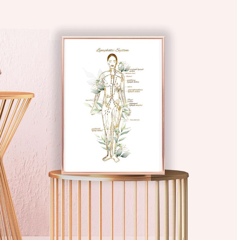 May include: A white poster with a gold outline depicting the lymphatic system of the human body. The poster features a female figure with lines representing the lymphatic system. The poster is titled "Lymphatic System" and includes labels for the different lymph nodes.