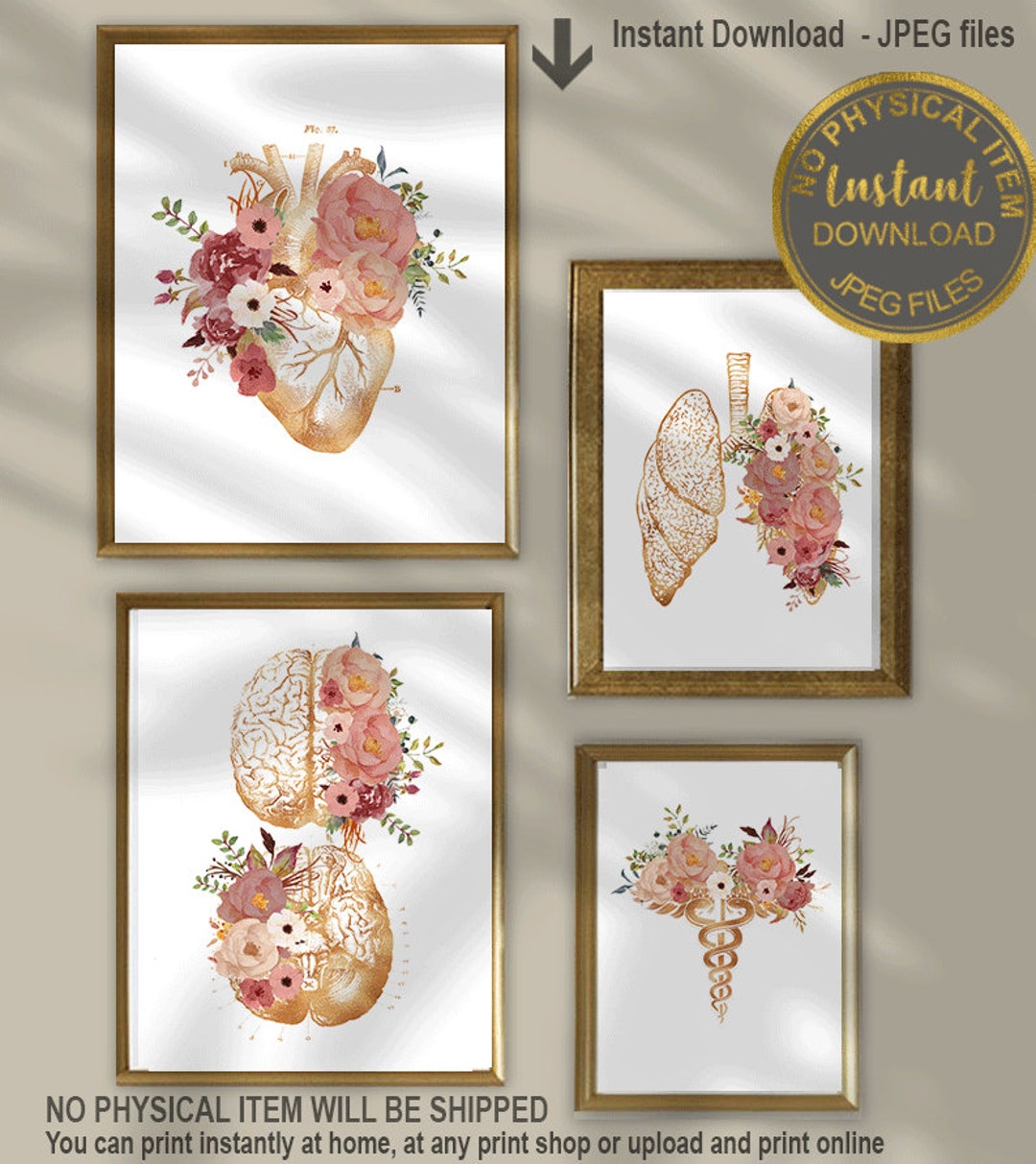 Anatomy Art Set of 4, Medical Art Set, Medical School Gift, Medical ...