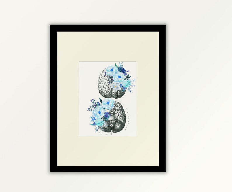 May include: A framed print of a vintage anatomical illustration of a human brain with blue and green watercolour flowers.