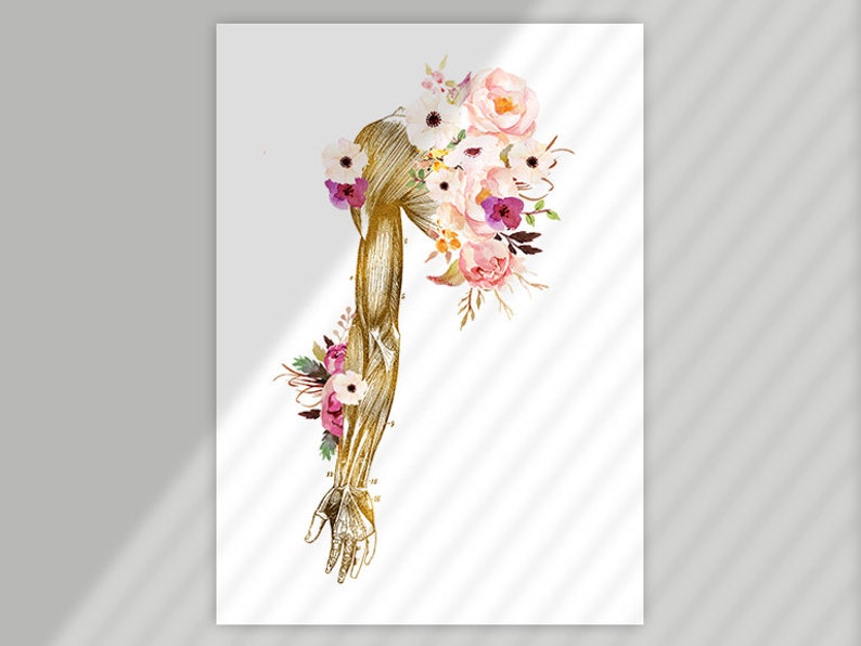 RMT Office Decor, Massage Therapist Gift, Massage Therapist Graduation Gift, Massage Room Decor, Muscular System Art, Anatomy Art Set image 7