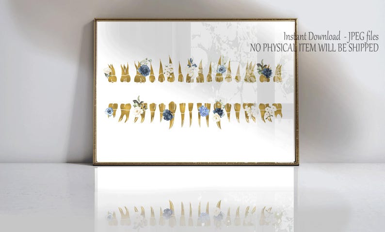 Floral Tooth Anatomy Poster, Teeth Chart Printable, Dentist Office Decor, Dental Hygienist Gift, Dental Student Print, Digital Download image 2