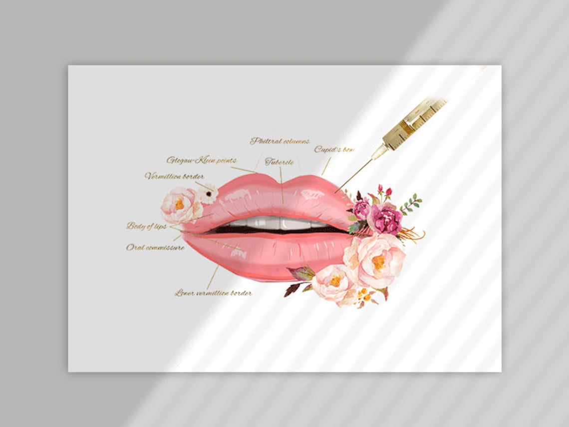 Lip Anatomy Art Lip Filler Print Plastic Surgeon Gift Botox Etsy Israel